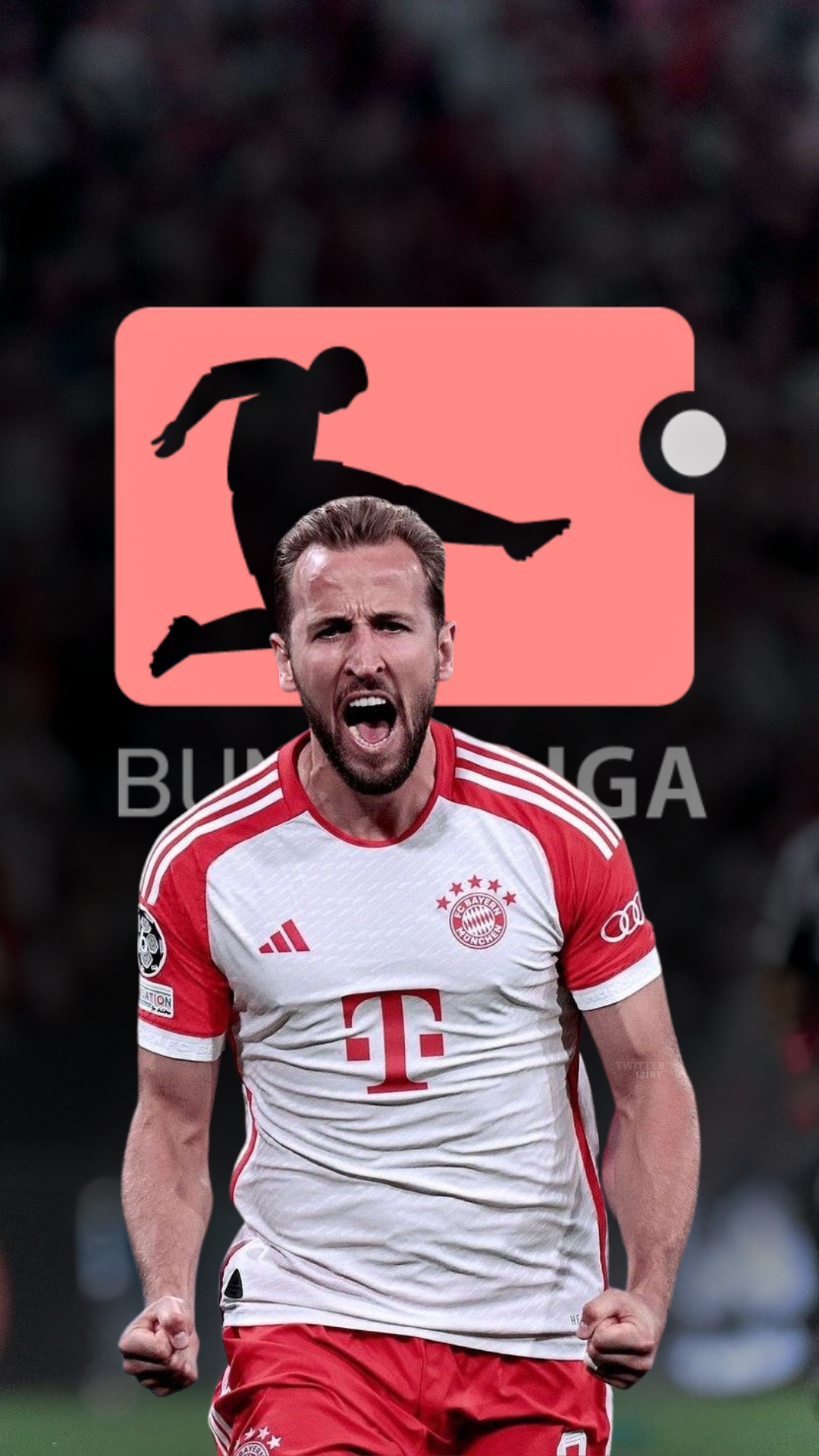 bundesliga-iptv.webp